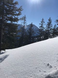 Fotografie z Heikoala na trase