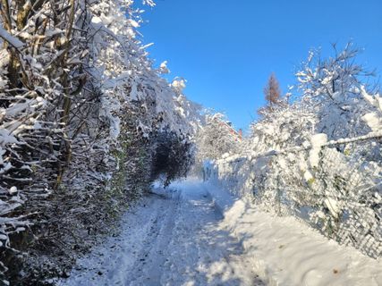 Fotografija s spletne strani mmecki na poti