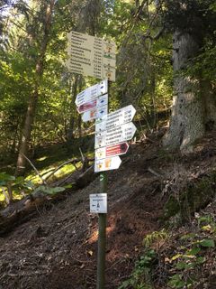 Photo de Marcel Gisler le long du parcours