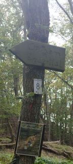 Photo de Myst Era le long du parcours
