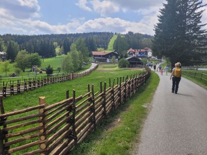 Foto von mmecki entlang der Tour