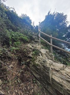 Photo de schenkeli le long du parcours