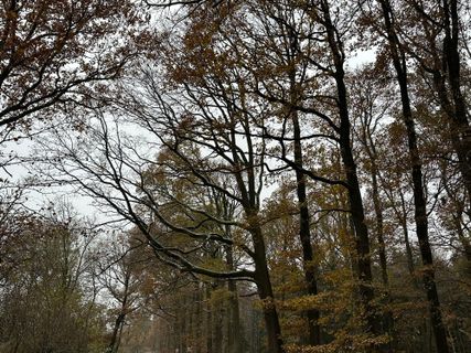 Foto von Norbert Herbig entlang der Tour
