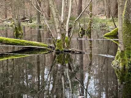 Fotografie z Norbert Herbig na trase