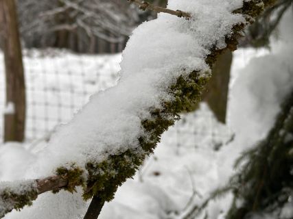 Foto von Norbert Herbig entlang der Tour
