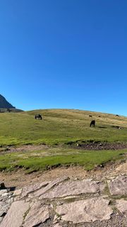Photo de Lukas_rm le long du parcours