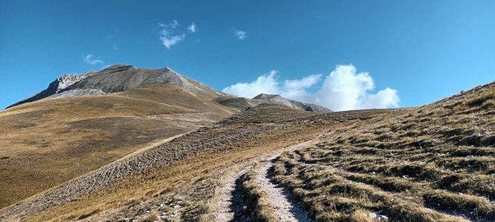 Fotografija s spletne strani Gabriele Cucchi na poti