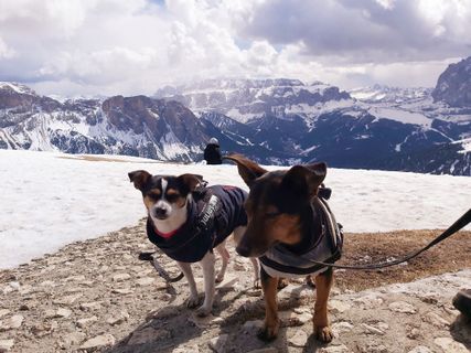 Foto von Antonietta Havasi entlang der Tour