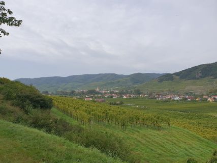 Foto von Tamara Schwarz 2 entlang der Tour