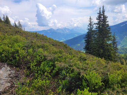 Foto von mmecki entlang der Tour