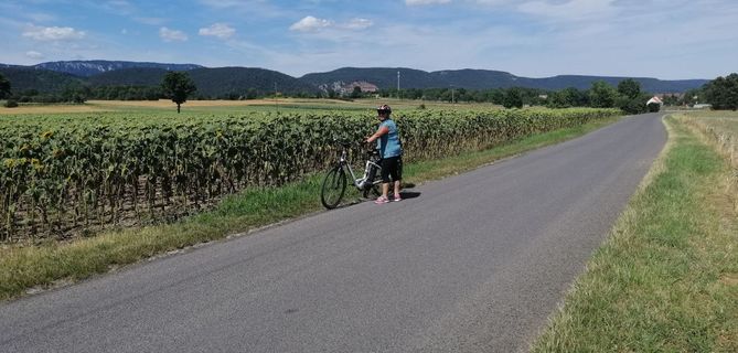 Photo de Raoul Nicolas le long du parcours