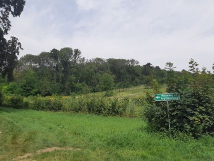 Foto de mmecki a lo largo del recorrido