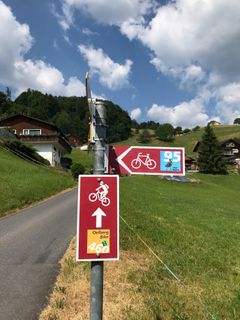 Photo de Rosi Wikart le long du parcours