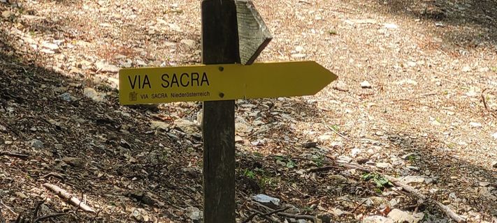Foto de Nicky a lo largo del recorrido