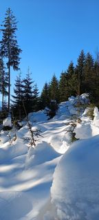 Fotografija s spletne strani Anna na poti