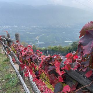 Photo de Norbert Herbig le long du parcours