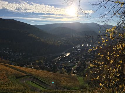 Foto von Ralf Umminger entlang der Tour
