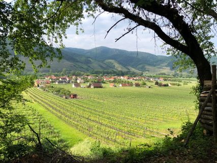 Foto von Omer Sharon entlang der Tour
