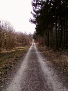 Photo de Kellner Heidi le long du parcours