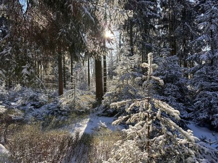 Foto von Norbert Herbig entlang der Tour
