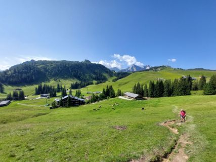 Fotografie z Jörg Rost na trase