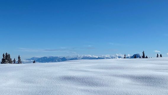 Foto von Richard Forchtner entlang der Tour