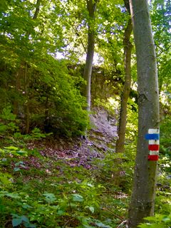 Photo de Kellner Heidi le long du parcours