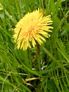 Fotografie z Kellner Heidi na trase