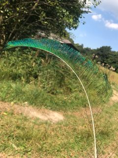 Zdjęcie z Kellner Heidi wzdłuż trasy