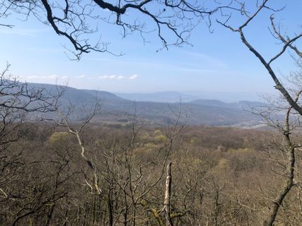 Zdjęcie z Gergő Pavlik wzdłuż trasy