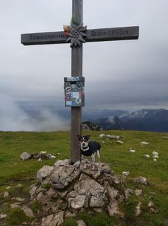 Foto de Antonietta Havasi a lo largo del recorrido