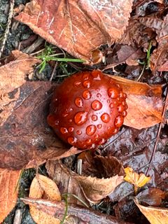 Foto de Norbert Herbig a lo largo del recorrido