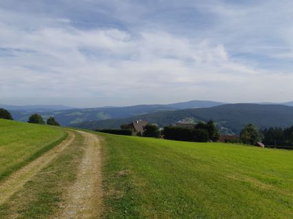 Photo de mmecki le long du parcours