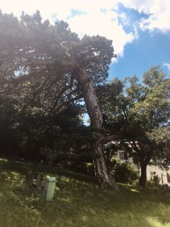 Photo de Kellner Heidi le long du parcours