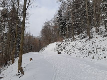 Foto von mmecki entlang der Tour