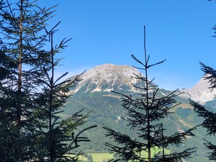 Photo de mmecki le long du parcours
