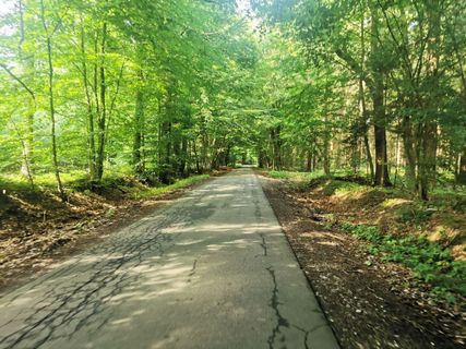Foto de Bernd Schmitt a lo largo del recorrido