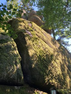 Foto von Helga Mayrhofer entlang der Tour