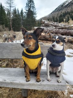 Foto von Antonietta Havasi entlang der Tour