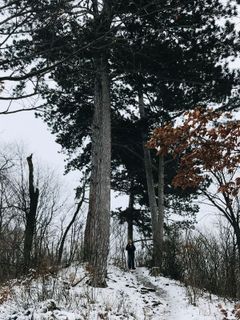 Foto von Kellner Heidi entlang der Tour