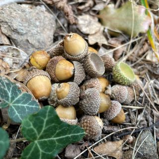 Photo de Norbert Herbig le long du parcours