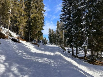 Photo de Norbert Herbig le long du parcours