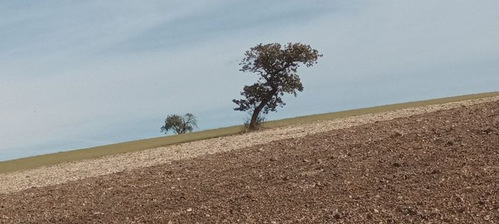Foto von Gabriele Cucchi entlang der Tour