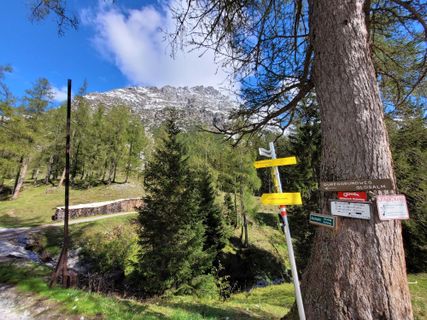 Photo de mmecki le long du parcours
