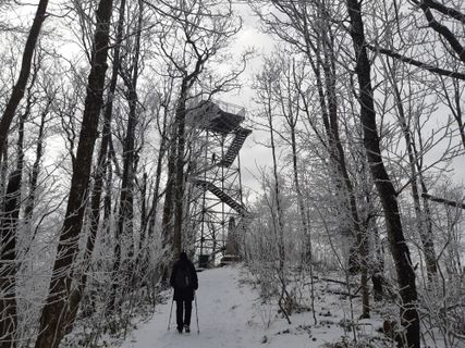 Fotografija s spletne strani mmecki na poti