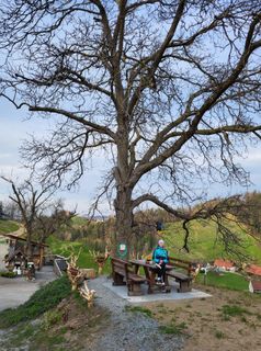 Fotografija s spletne strani Josef Stein na poti