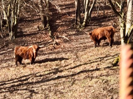 Fotografie z Kellner Heidi na trase