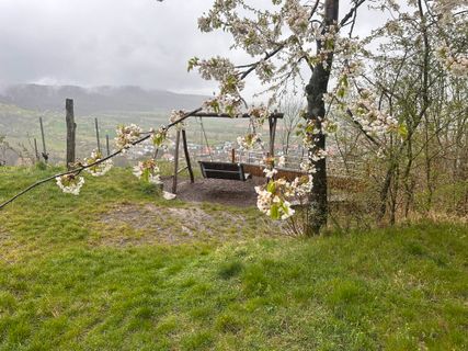 Zdjęcie z Norbert Herbig wzdłuż trasy