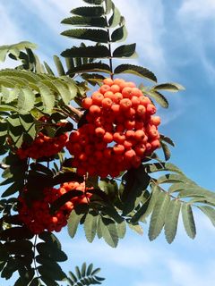 Fotografia z Kellner Heidi na trase
