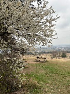 Zdjęcie z Robert Kremlicka wzdłuż trasy